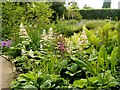 SP1742 : Hidcote Manor garden by David Dixon