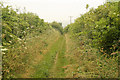 Barnetby bridleway