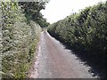 Whiddon Lane looking west