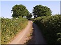 Lane heading south east towards the lane junction at the two trees