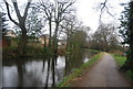 Basingstoke Canal