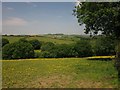 Field near Glebelands