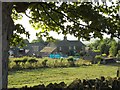 Nether Rodknoll Farm