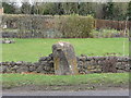 Roadside standing stone