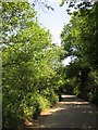 Lane in Kingsmill Lake valley