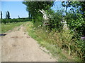 Field near Lee Green Road