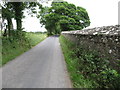 The Castlewall demesne boundary wall on Audleystown Road