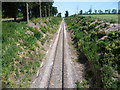 Railway line seen from Buckland Road