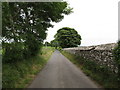 Approaching a bend in the Audleystown Road