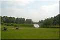 Fishing pond, Brierley Forest Park