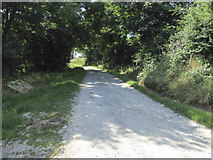 W5361 : Lane to a farm by Neville Goodman