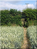 TL1210 : Footpath to the Hertfordshire Way by Philip Jeffrey