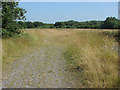 Grassland, Blackwater Valley