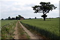 Farm track and tree near New Jerome Farm