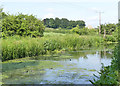 Dearne and Dove Canal below Tingle Bridge