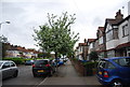 Tree lined Manor Rd