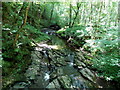 Rocky bed of the Afon Cletwr near Erwood