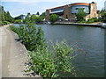 The River Medway in the centre of Maidstone