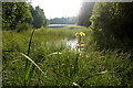 Black Loch, Carsie, near Blairgowrie