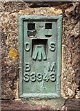 SS8734 : Benchmark on the trig point by Steve Daniels