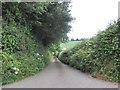 Road to the Coach House Stables