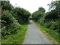 Path to the Broadwater