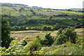 The valley of Black Brook