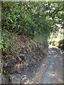 Shallow cutting near Crocombe Bridge