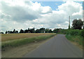 Barley field beside Alderton Road