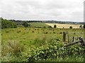 Aghnagreggan Townland