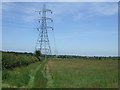 Farmland and pylons