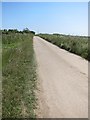 The road heading SE to Treleaven and Trewillis farms