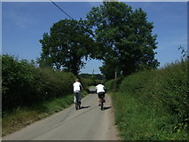 SK0902 : Cycling north on Wood Lane by JThomas