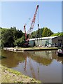 SJ8934 : Lime Kiln Basin, Trent and Mersey Canal by David Dixon