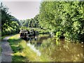 Trent and Mersey Canal