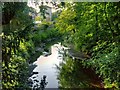 River Trent, Trentham Gardens