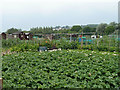 Allotments, Hythe