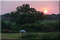 Sunset, Cocking Causeway, West Sussex