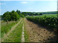 The Orange Way after Wiltshire (130)