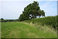 Footpath through the grass field towards Swanbourne