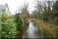 Basingstoke Canal