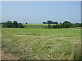 Farmland near Tatenhill