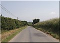 Lane from Felinwynt east of  Preseli farm