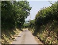 Narrow lane to Pen-y-banc