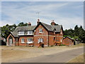 Free roaming ponies and foals by the Old School House