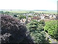 TQ9220 : View south-south-west from Rye Church tower by Christine Johnstone