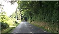 Minor road entering wooded area near High view