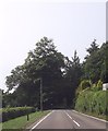 A484 entering wooded area