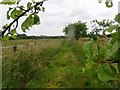 Path towards Badsey