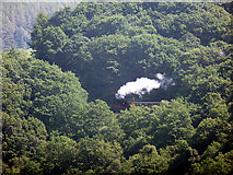 SN7377 : Train in the trees by John Lucas
